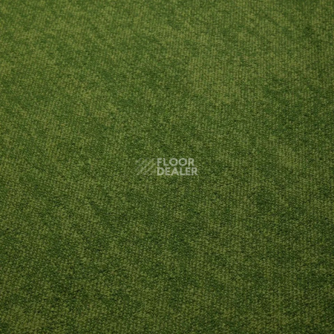 Haima Coral 30 фото 8 | FLOORDEALER